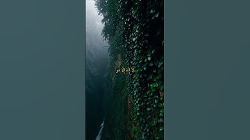 سورة القصص القران الكريم #القرآن #القرآن_الكريم #المصحف #اكسبلور #لايك #حالات_واتس #راحة_نفسية
