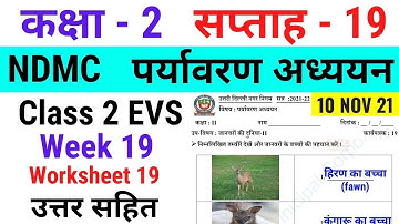 NDMC Class 2 EVS Week 19 Worksheet 19 (10/11/21) पर्यावरण अध्ययन सप्ताह 19 Class 2nd week19 solution
