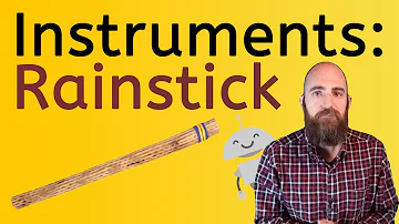 Let's Learn About Instruments: Rainstick