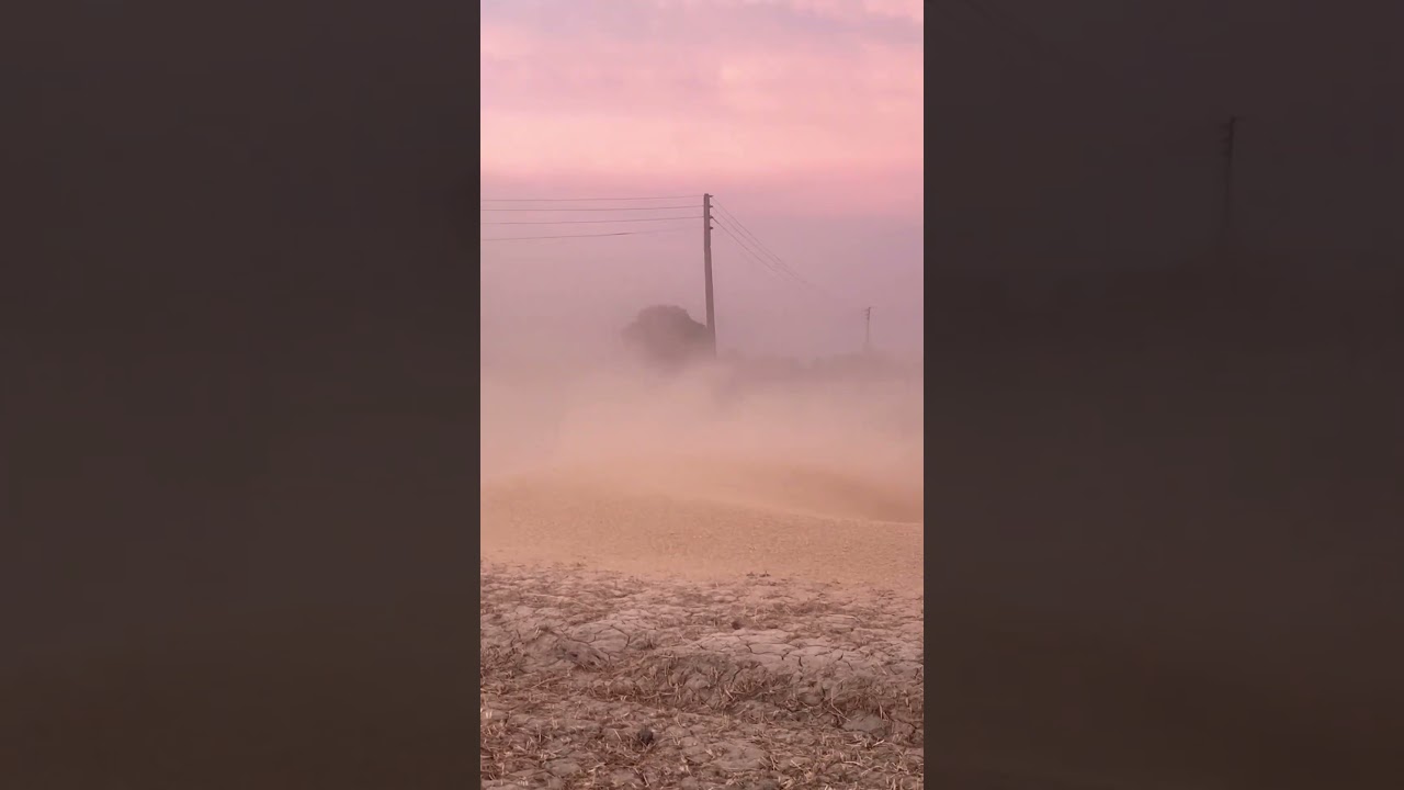 Pink Sky मेरे खेत म🔱