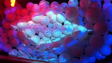 Balloon Hive - Projection Mapping