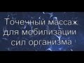 Здоровье. Точечный массаж для мобилизации сил организма.