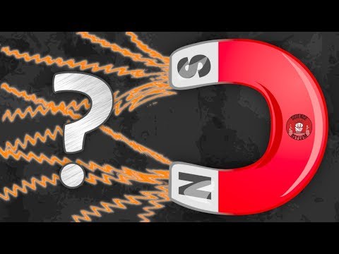 Video: Wat is hoefystermagneet?