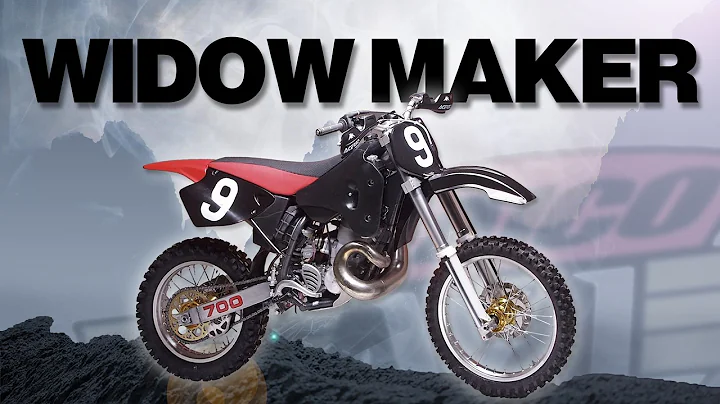 So … What Exactly is the Maico 700 Two Stroke?