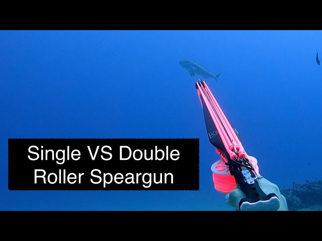 Single vs Double roller Speargun! SPEARFISHING Deep Reef Hawaii. 