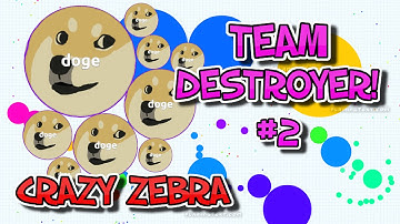 AGAR.IO #2: Team Destroyer!│Crazy Zebra