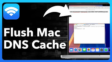 How To Flush DNS Cache On Mac