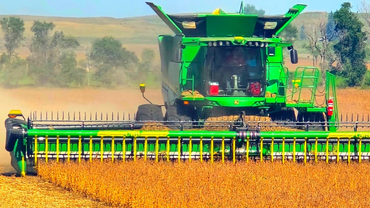 Постоянные перебои с урожаем...