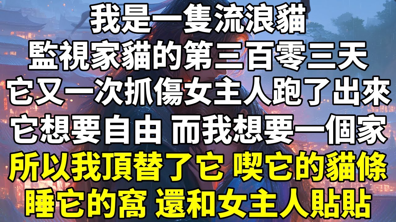 我是一隻流浪貓，監視家貓的第三百零三天，它又一次抓傷女主人跑了出來。它想要自由，而我想要一個家。所以我頂替了它，喫它的貓條，睡它的窩，還和女主人貼貼。