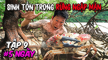 Người Cuối Cùng Còn Thử Thách SINH TỒN Trong RỪNG NGẬP MẶN Sẽ Thắng 10 Triệu