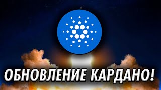 ОБНОВЛЕНИЕ КАРДАНО! очень важно!