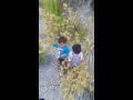 بشاگرد گورخ