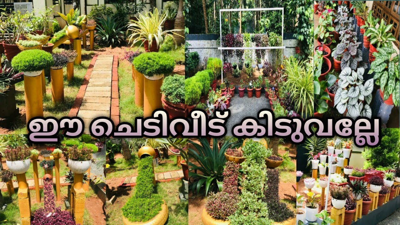 Garden tour malayalam/DIY garden ideas for home/small space garden tour