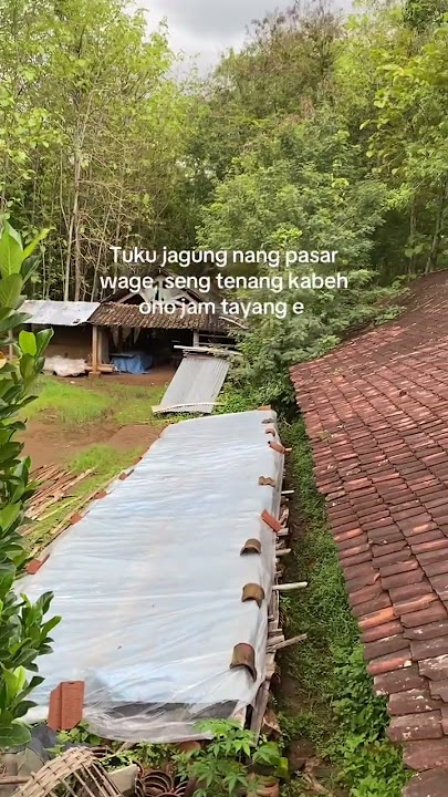 Download lagu Sek durung wayahe tayang