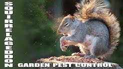 Beautiful back garden pest control - Slo Mo 