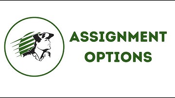 Canvas Assignment Options