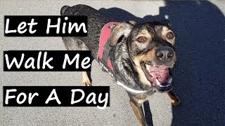 I Let My Dog Walk Me For A Day!