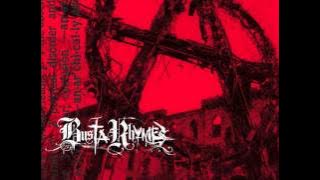 Busta Rhymes - Anarchy
