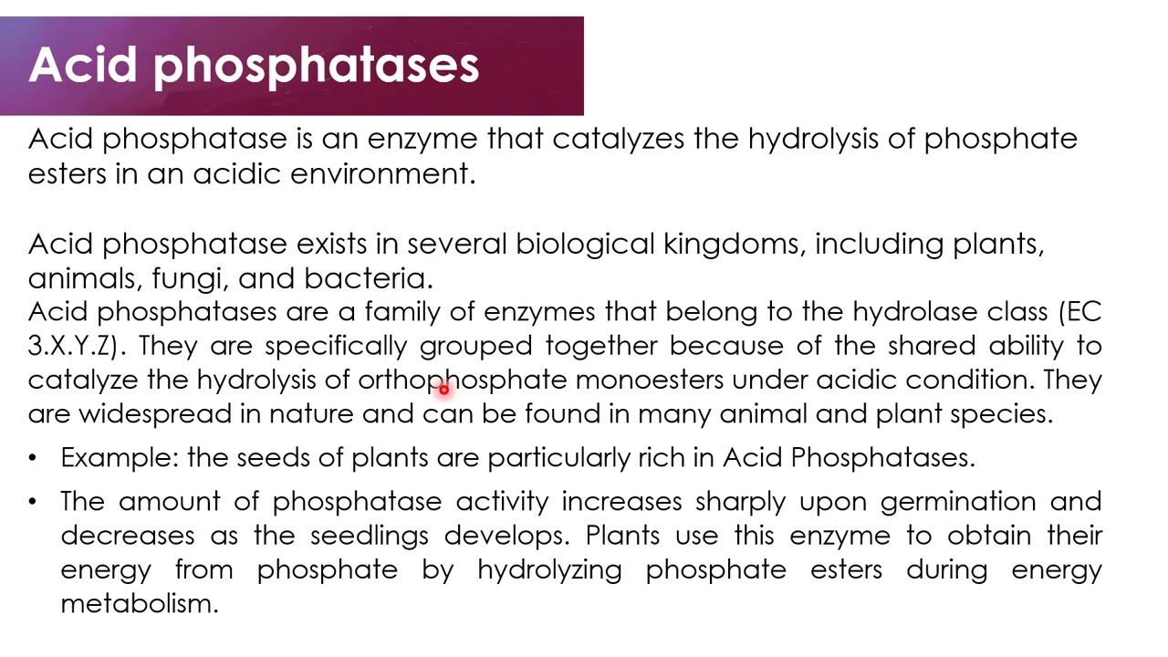 Acid Phosphatase Isolation and characterization