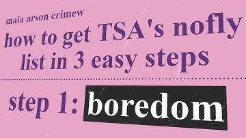 meet the hacker that stole TSA