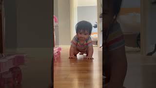 Baby girl crawls on hardwood floor then falls forward and faceplants