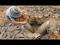 Unique Fishing | Man Catching Giant Catfish In Dry Season