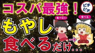 【コスパ最強】もやしの健康効果が優秀すぎる！とんでもないもやしの健康効果とは【うわさのゆっくり解説】