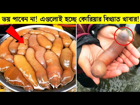 ভিডিও: কোরিয়ানরা কী ধরনের কুকুর খায়