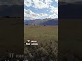Степи Алтая