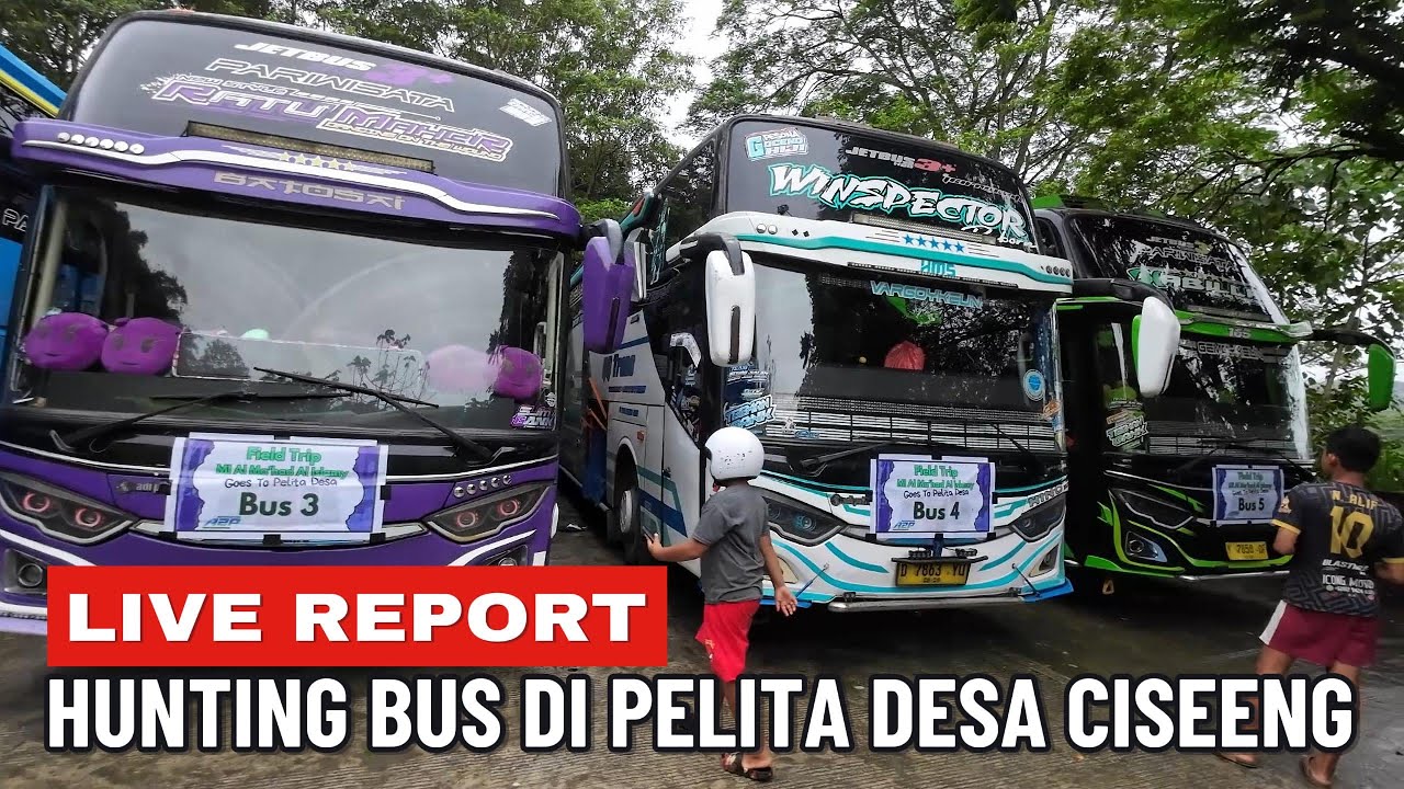 ADA QQ TRANS NABILLA DAN WINSPECTOR || Hunting Bus Basuri di Pelita Desa