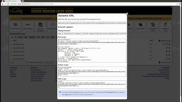 How to setup Dynamic DNS on Linux with ClouDNS