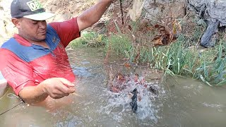 صيد استاكوزا النيل الجامبو اسرار صيادين مصر المحترفين | catching crawfish in Egypt 2022 | ابو روان