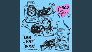 LAB RAT LAB RAT
