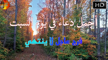 دعاء يوم السبت لرفع البلاء وسعة الرزق القارئ محمد هشام حسن