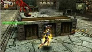 Rakion Archer Bug