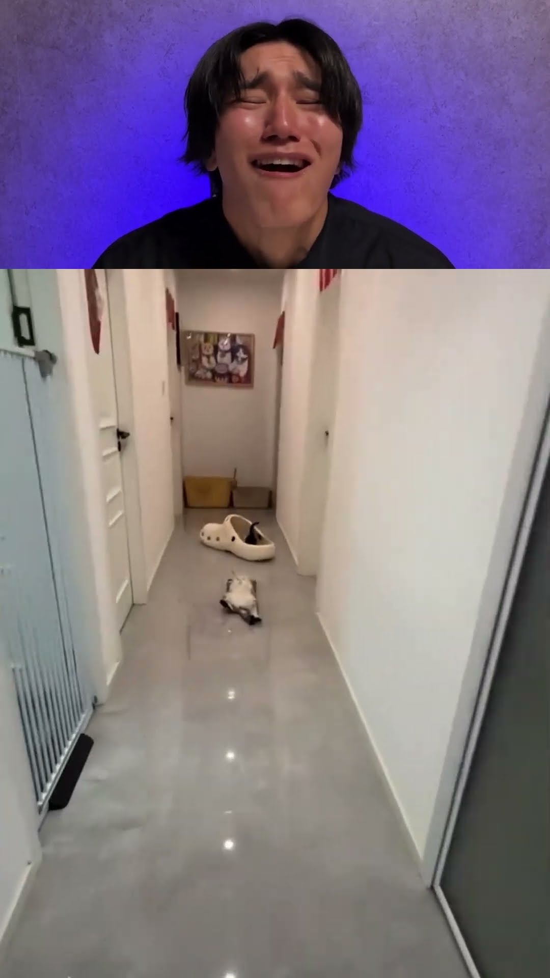 Try not to laugh Game!!!