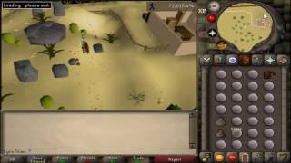 Lynx An - Progression In 2017