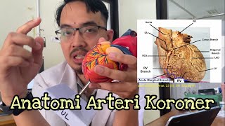 Anatomi arteri koroner - Coronary arteries anatomy