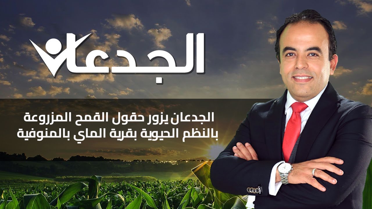 الجدعان يزور حقول القمح المزروعة بالنظم الحيوية بقرية الماي بالمنوفية