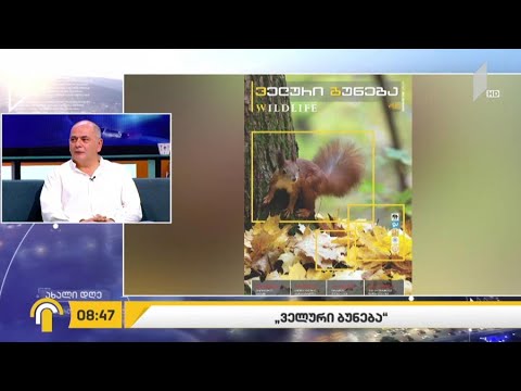 ველური ბუნება