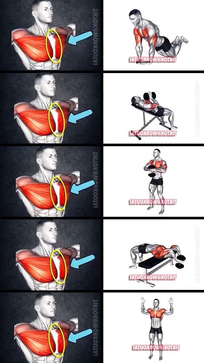 how-to-build-inner-chest-using-only-dumbbells-music-anime-phonk