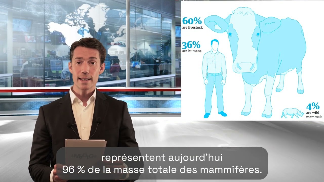 Biodiversité : l’alerte silencieuse du vivant !