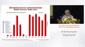 Tác nhân vi sinh gây nhiễm trùng hô hấp dưới cộng đồng và tình hình đề kháng kháng sinh