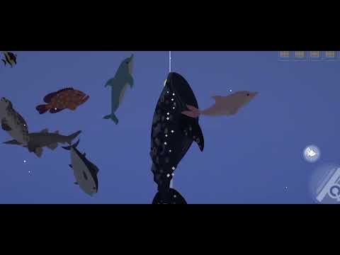 Видео: Fishing and Life. #4 Я НАКОНЕЦ ПОЙМАЛ СЕРОГО КИТА!!!