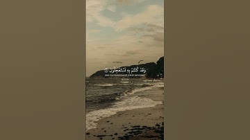 قُل لَّا أَمْلِكُ لِنَفْسِي ضَرًّا وَلَا نَفْعًا || القارئ عبد الرحمن مسعد 🕌
