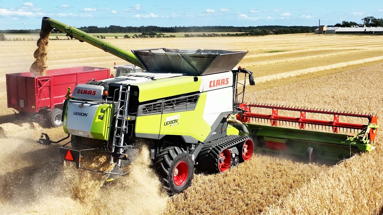 Claas Lexion 8900 Combine Harvesting | Big Harvest
