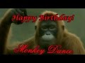 Happy Birthday Monkey Dance