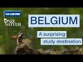 Discovering Belgium's Natural Beauty: our mission as a sustainable study destination in Europe