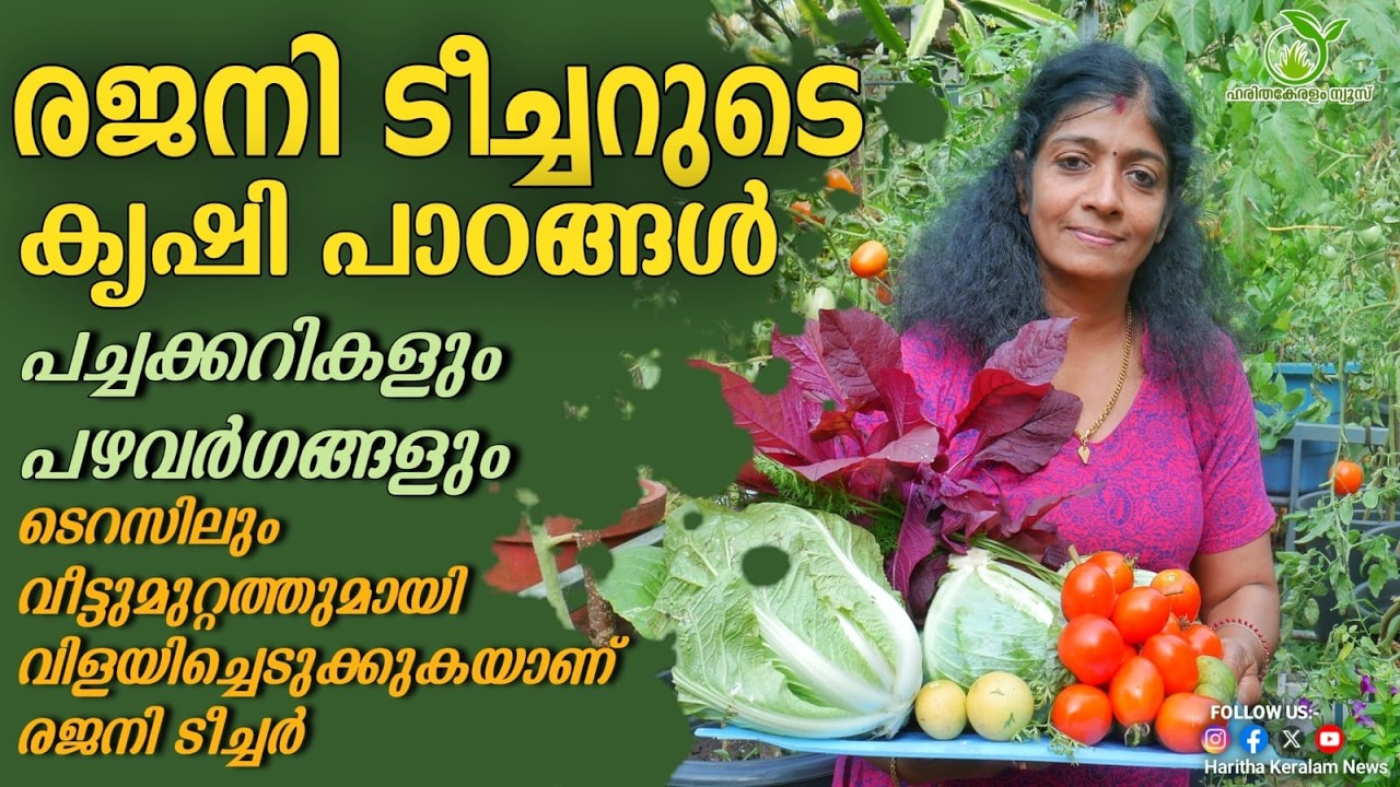 രജനി ടീച്ചറുടെ കൃഷിപാഠങ്ങള്‍