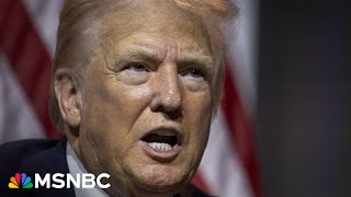What is Democrats’ path forward? Party needs to ‘figure out a voice’ to operate and resist
